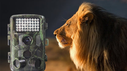 Wild hunting camera